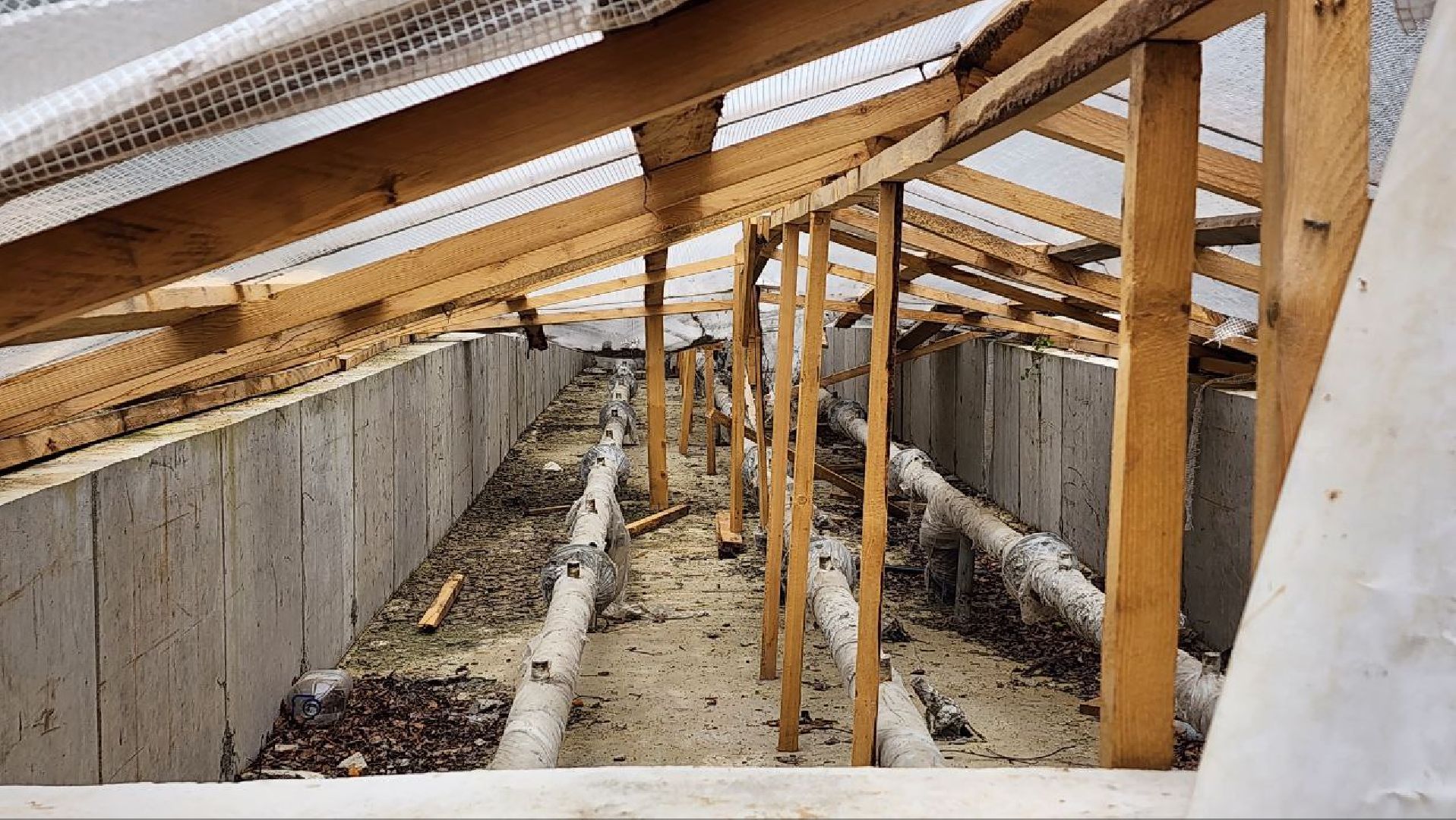 Дмитров, Парк Березовая роща, Реконструкция фонтана, Минблаго,