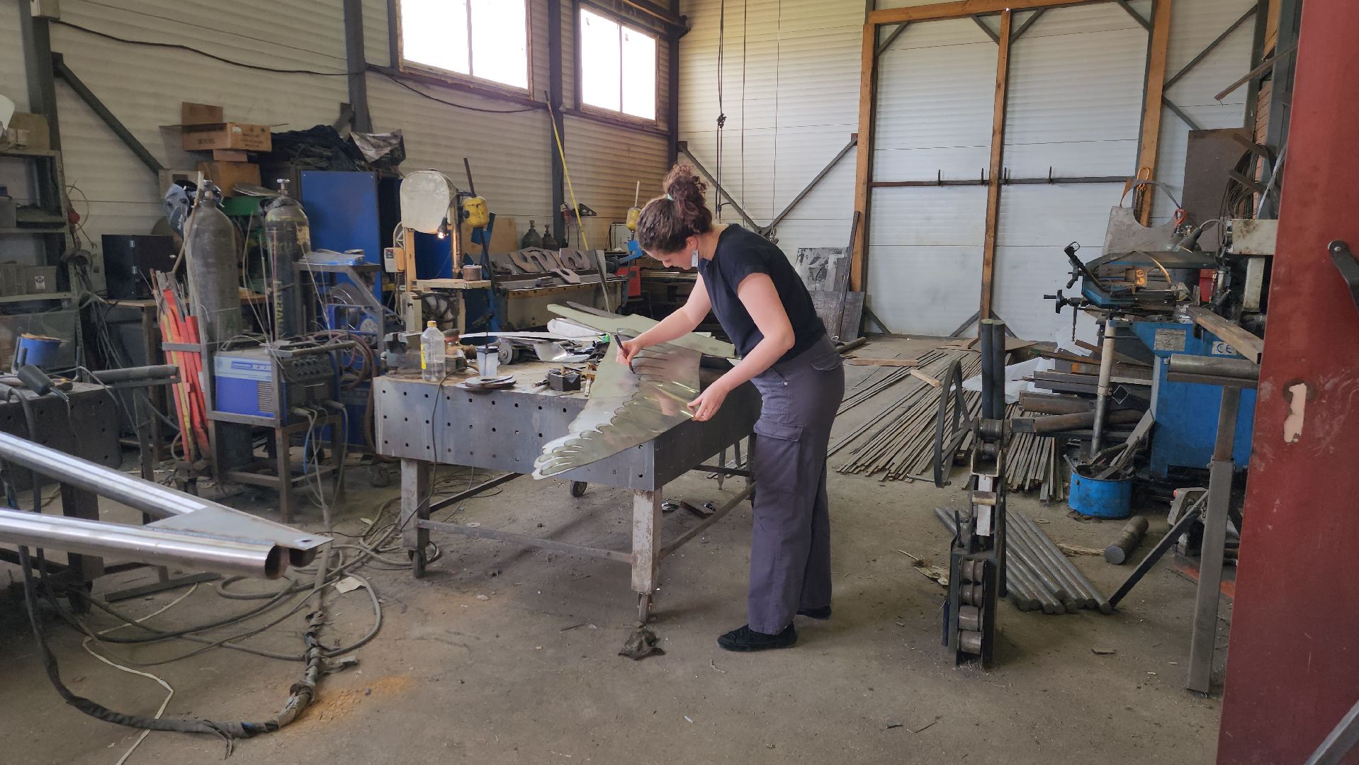 Руза, Алексей Шилов, арт-объект, Чайка,