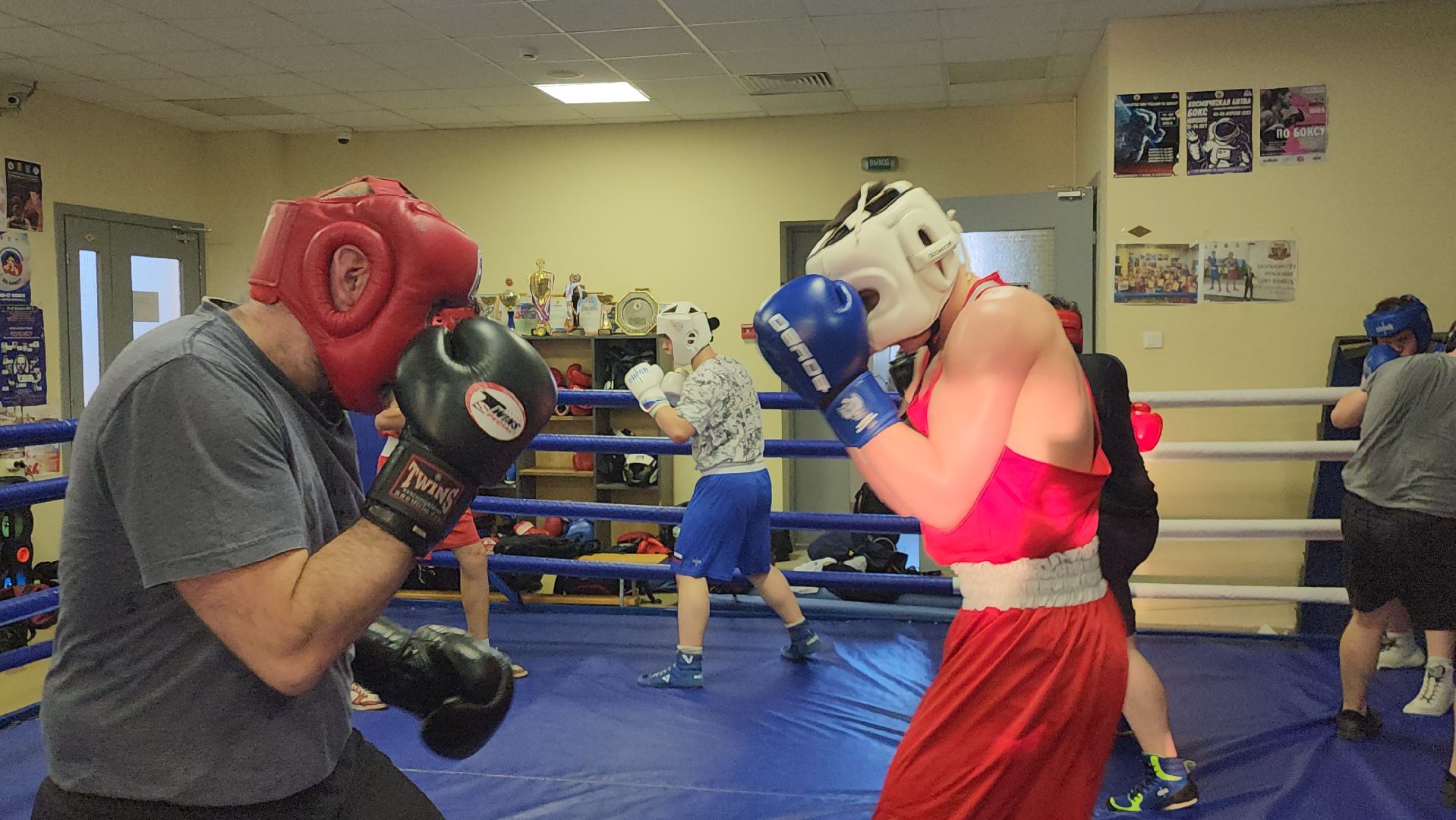 Истра, Спорт, Бокс,