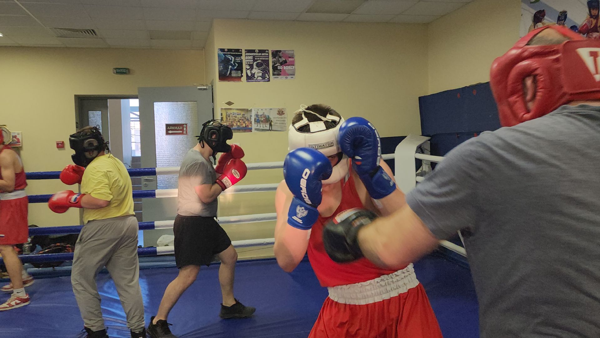 Истра, Спорт, Бокс,