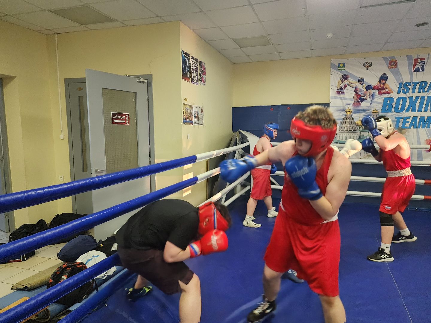 Истра, Спорт, Бокс,