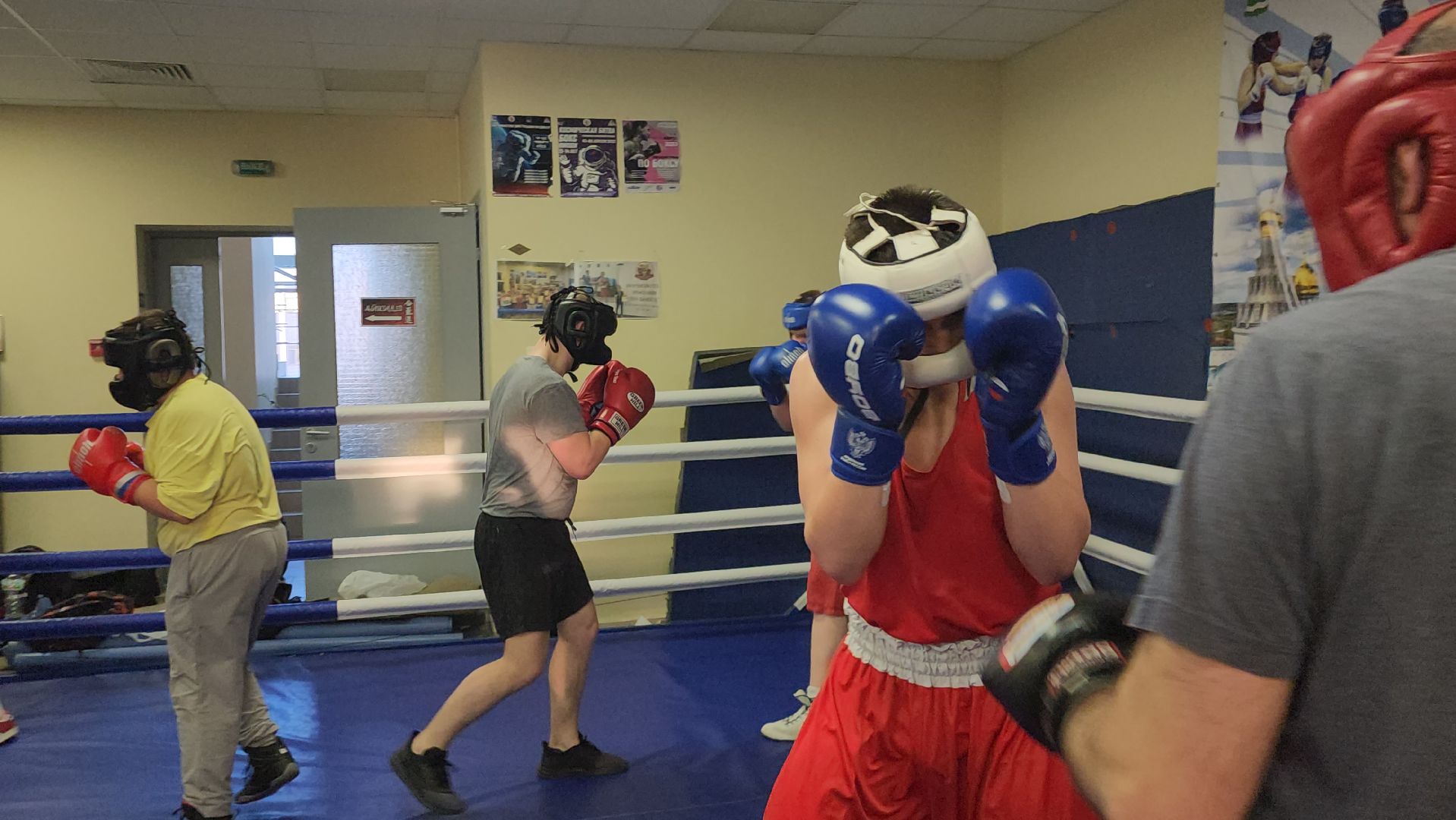 Истра, Спорт, Бокс,