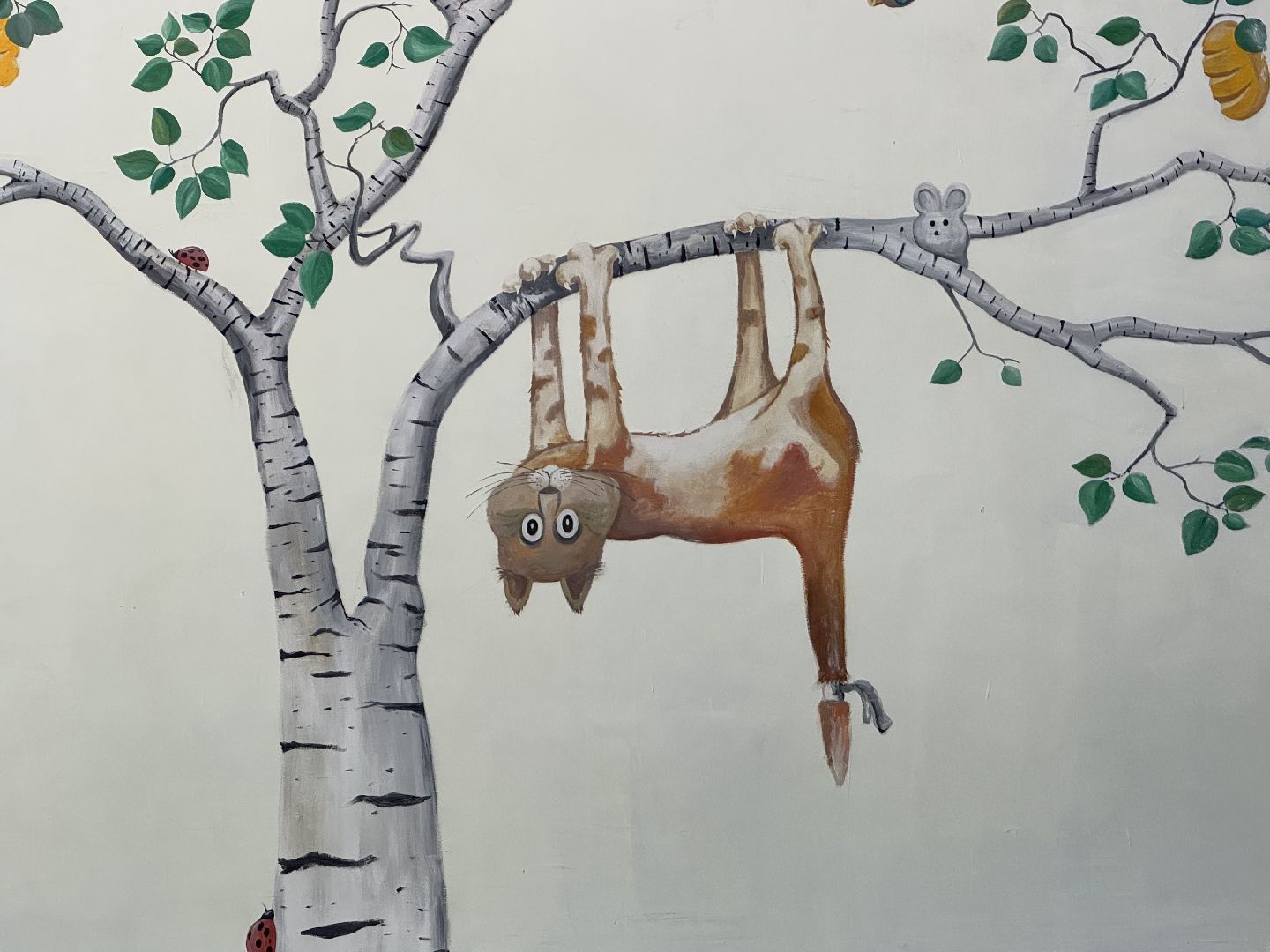 спортивная гимнастика, балашиха, книга рекордов россии, марк маилян, центр гимнастики смайл,