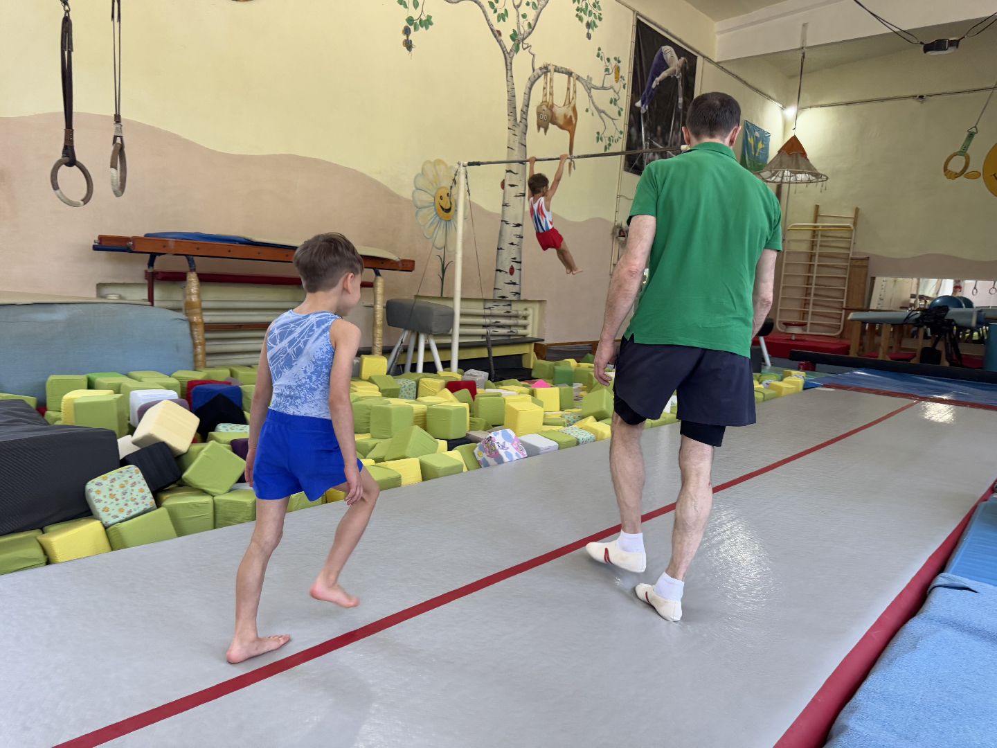 спортивная гимнастика, балашиха, книга рекордов россии, марк маилян, центр гимнастики смайл,