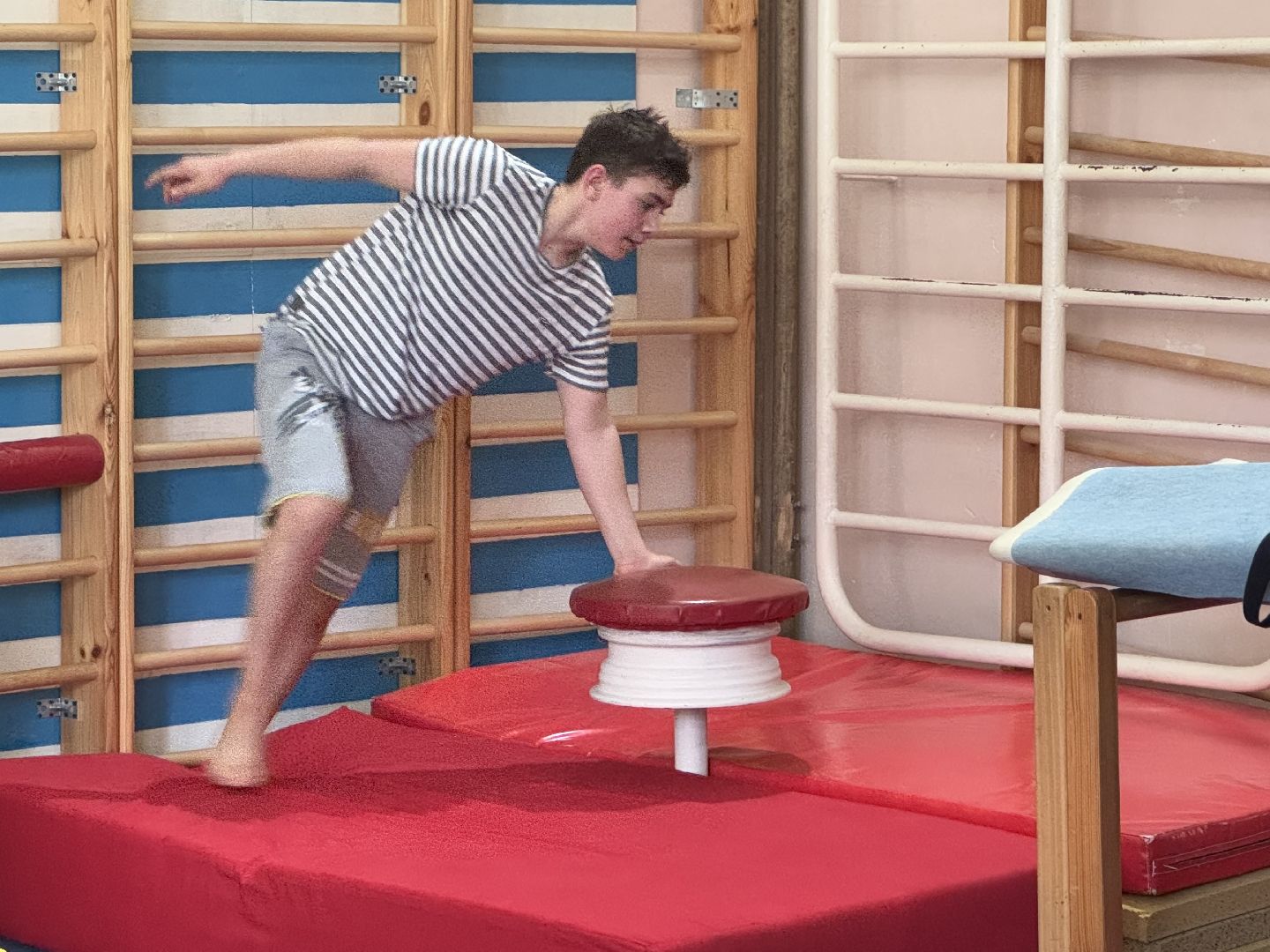 спортивная гимнастика, балашиха, книга рекордов россии, марк маилян, центр гимнастики смайл,