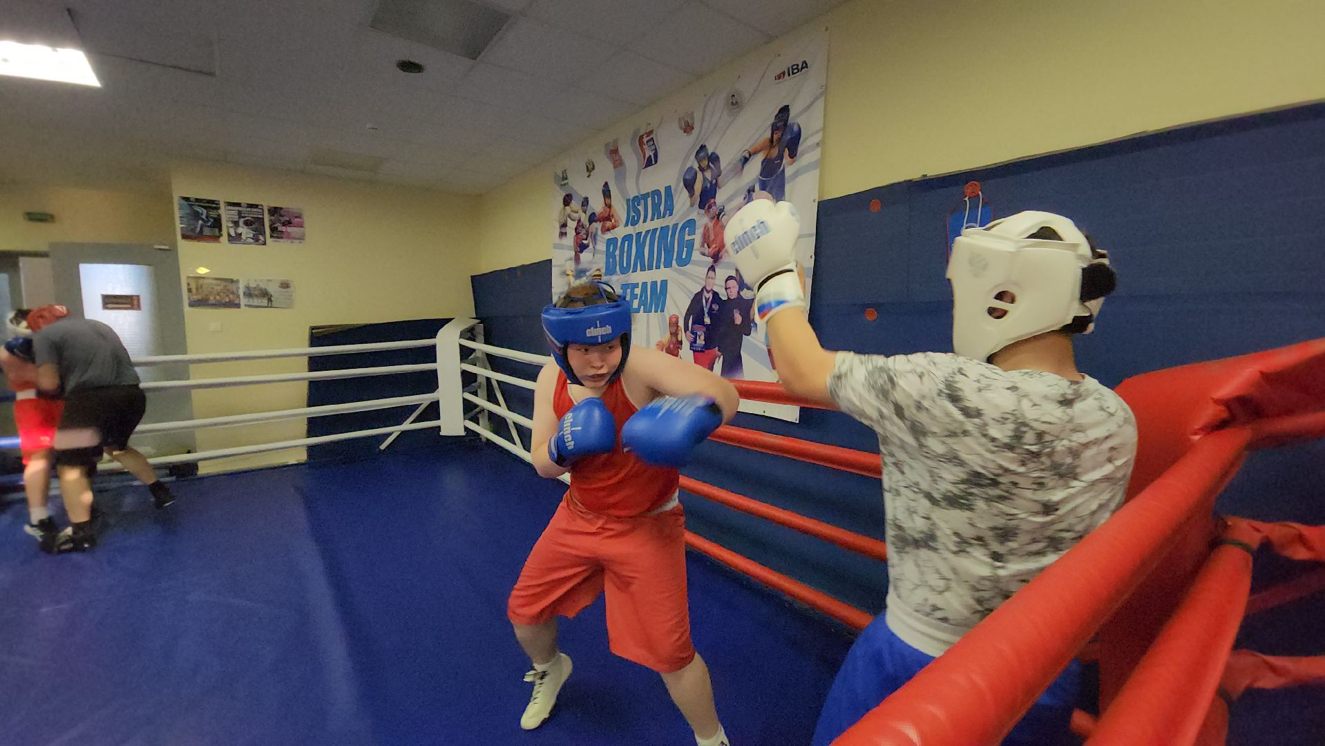 Истра, Бокс, Спорт,