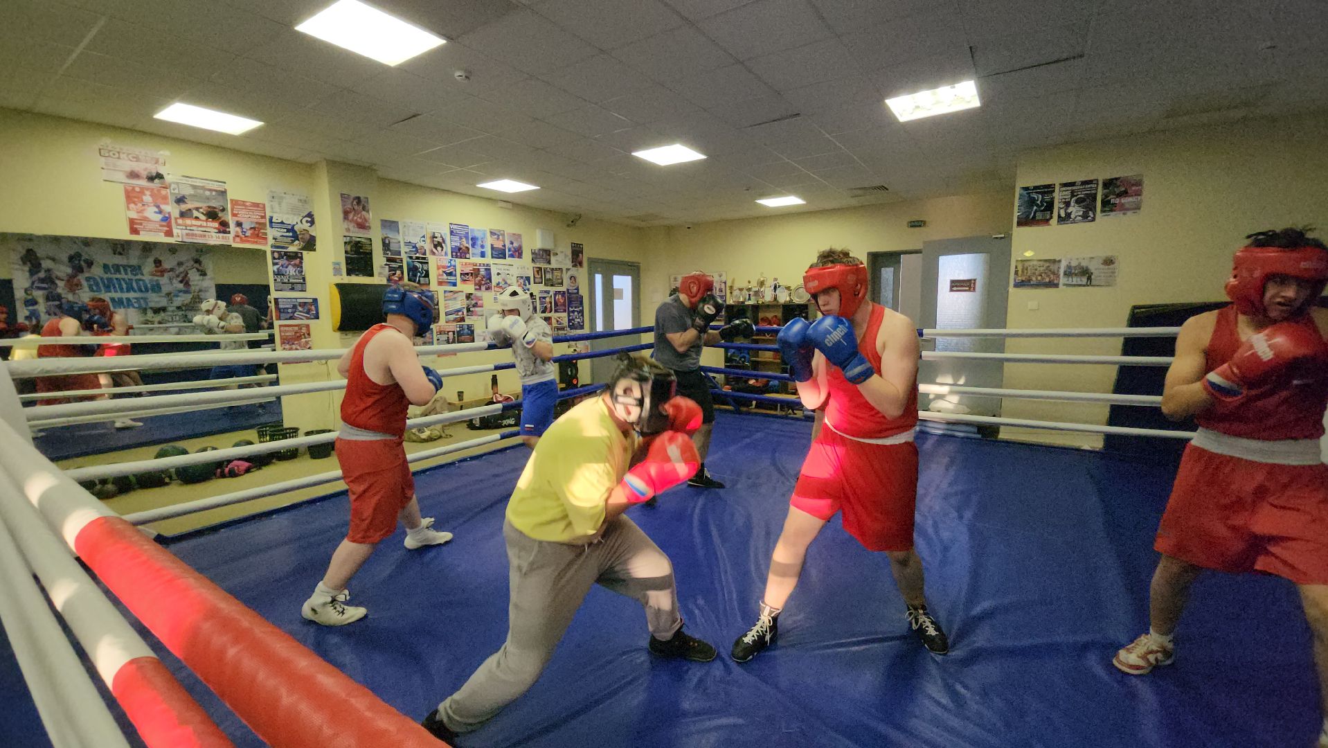 Истра, Бокс, Спорт,