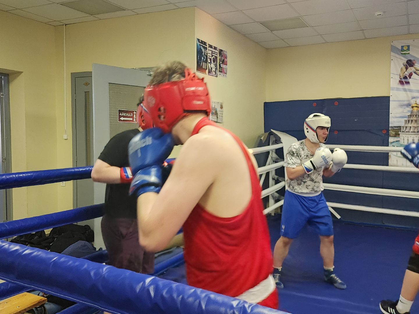 Истра, Бокс, Спорт,