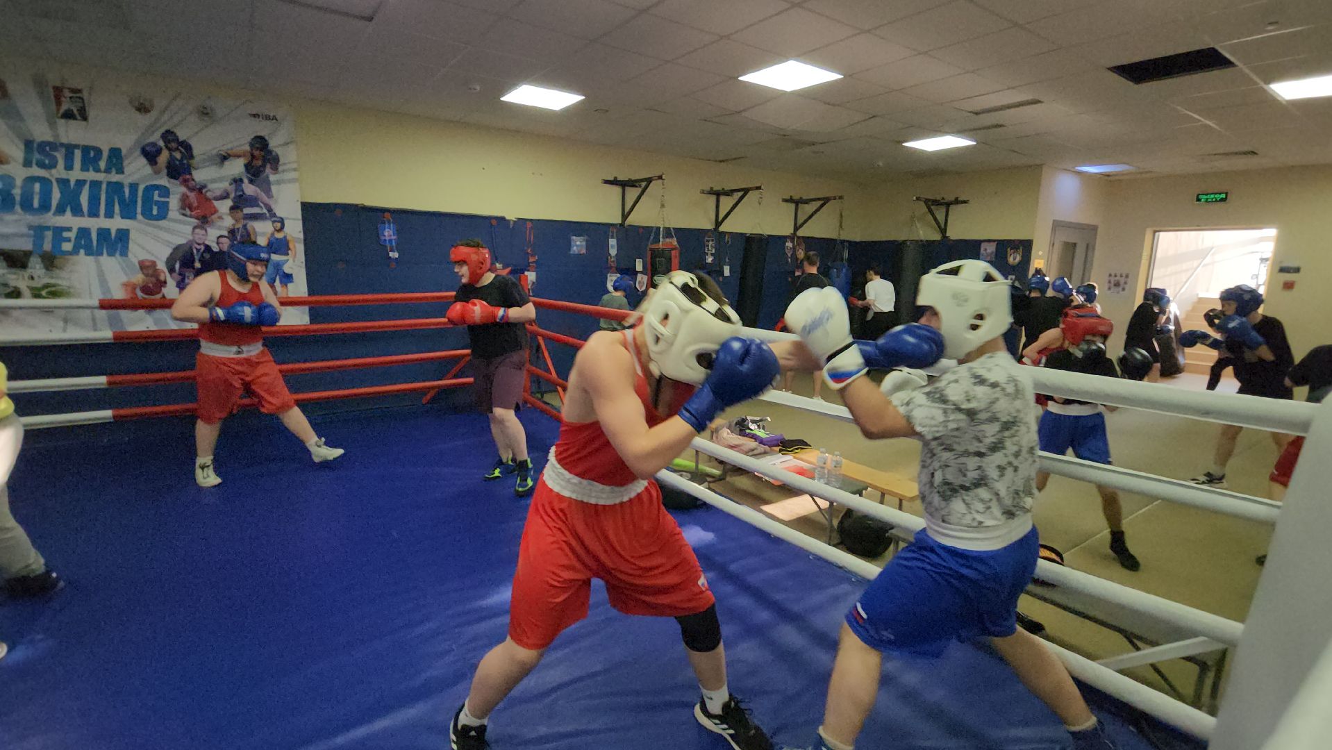 Истра, Бокс, Спорт,