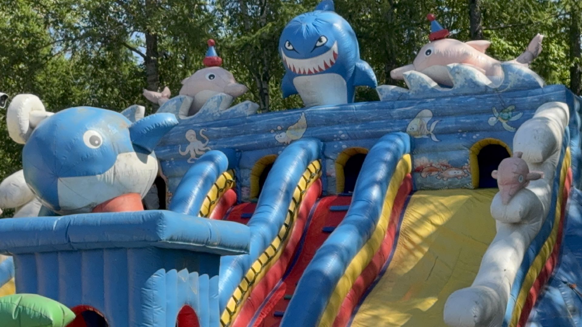 солнечногорск, аттракционы, дети, развлечения, жители, лето,