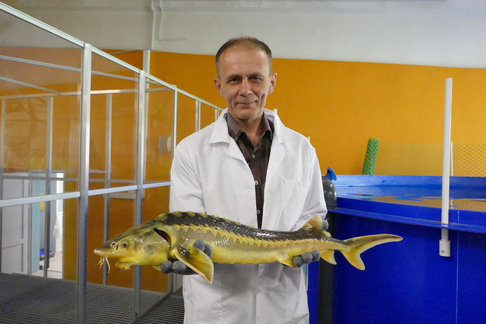 Подольск, наука, осетр, рыба