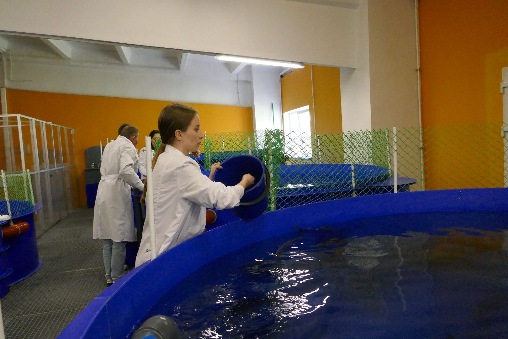 Подольск, наука, осетр, рыба