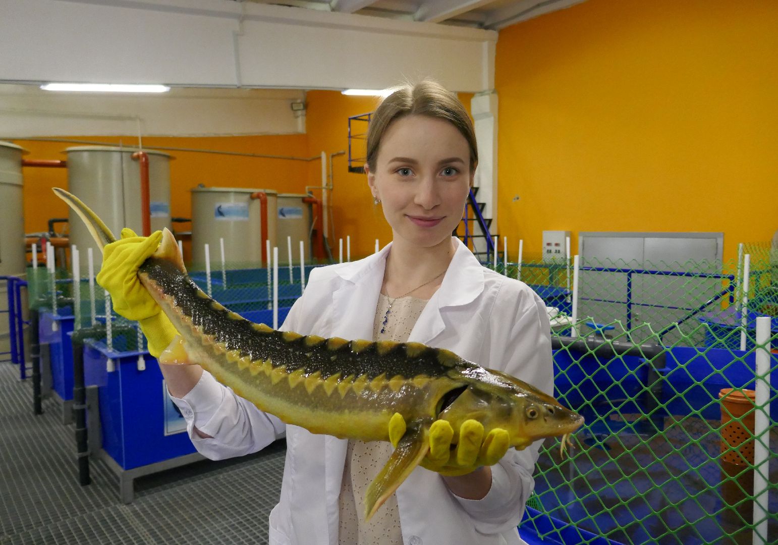 Подольск, наука, осетр, рыба