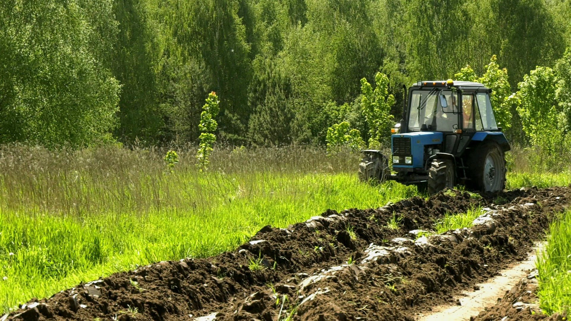 Егорьевск , Подмосковье , Московская область ,