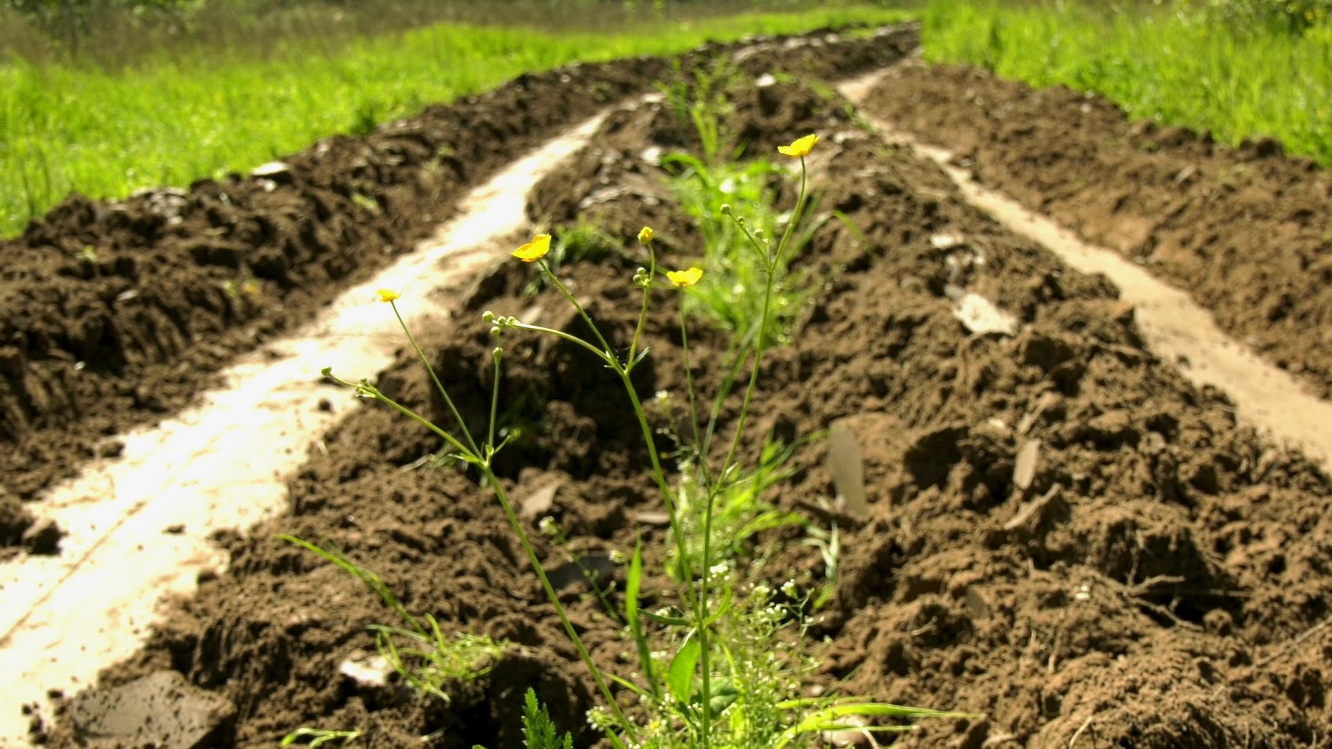 Егорьевск , Подмосковье , Московская область ,