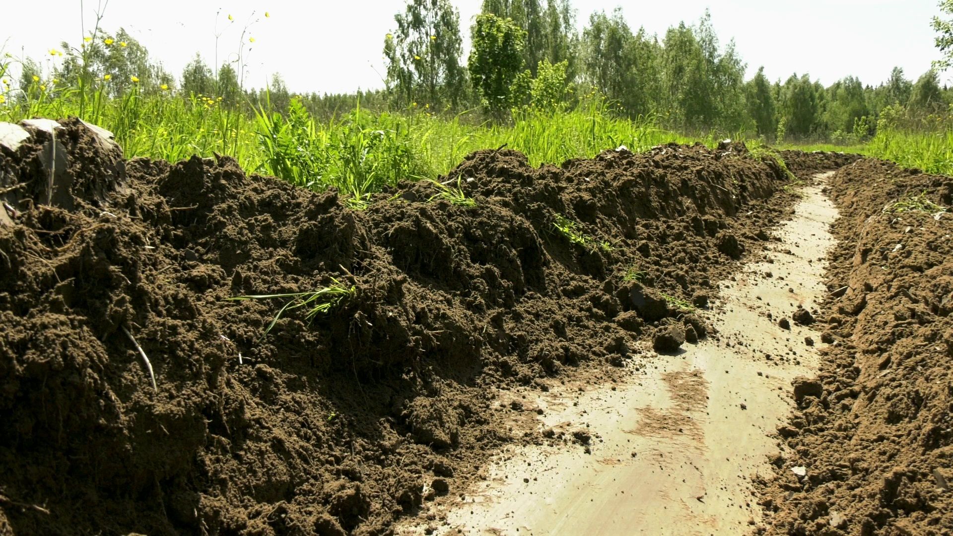 Егорьевск , Подмосковье , Московская область ,