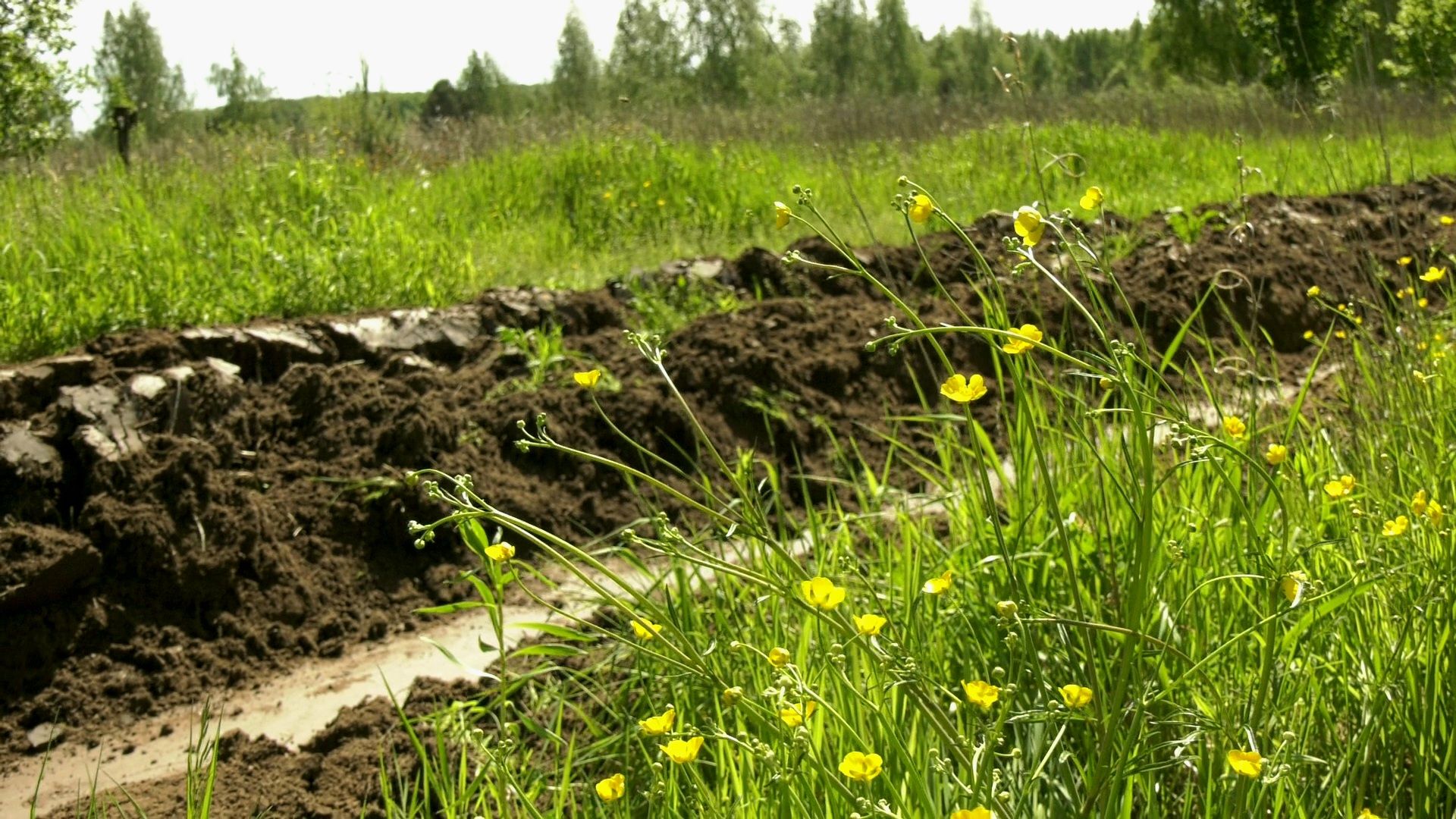 Егорьевск , Подмосковье , Московская область ,
