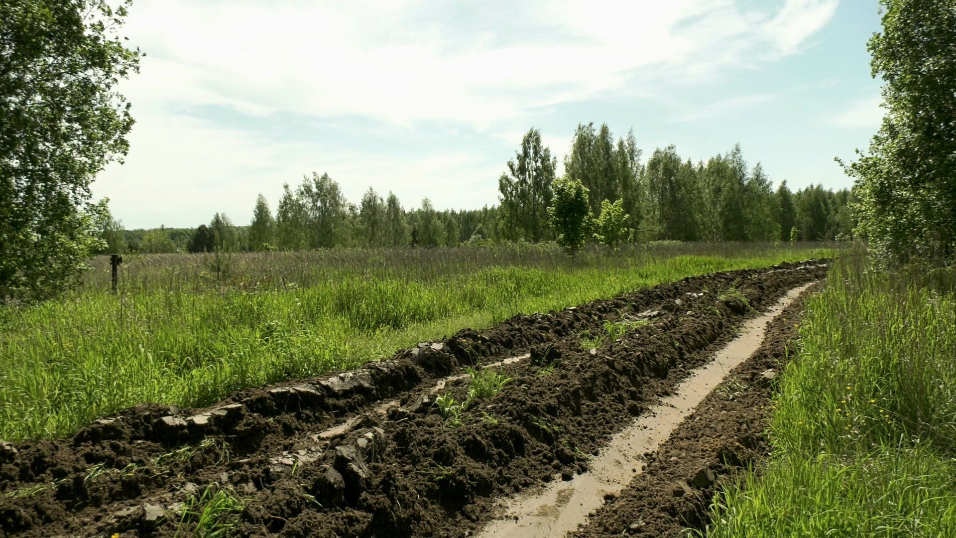 Егорьевск , Подмосковье , Московская область ,