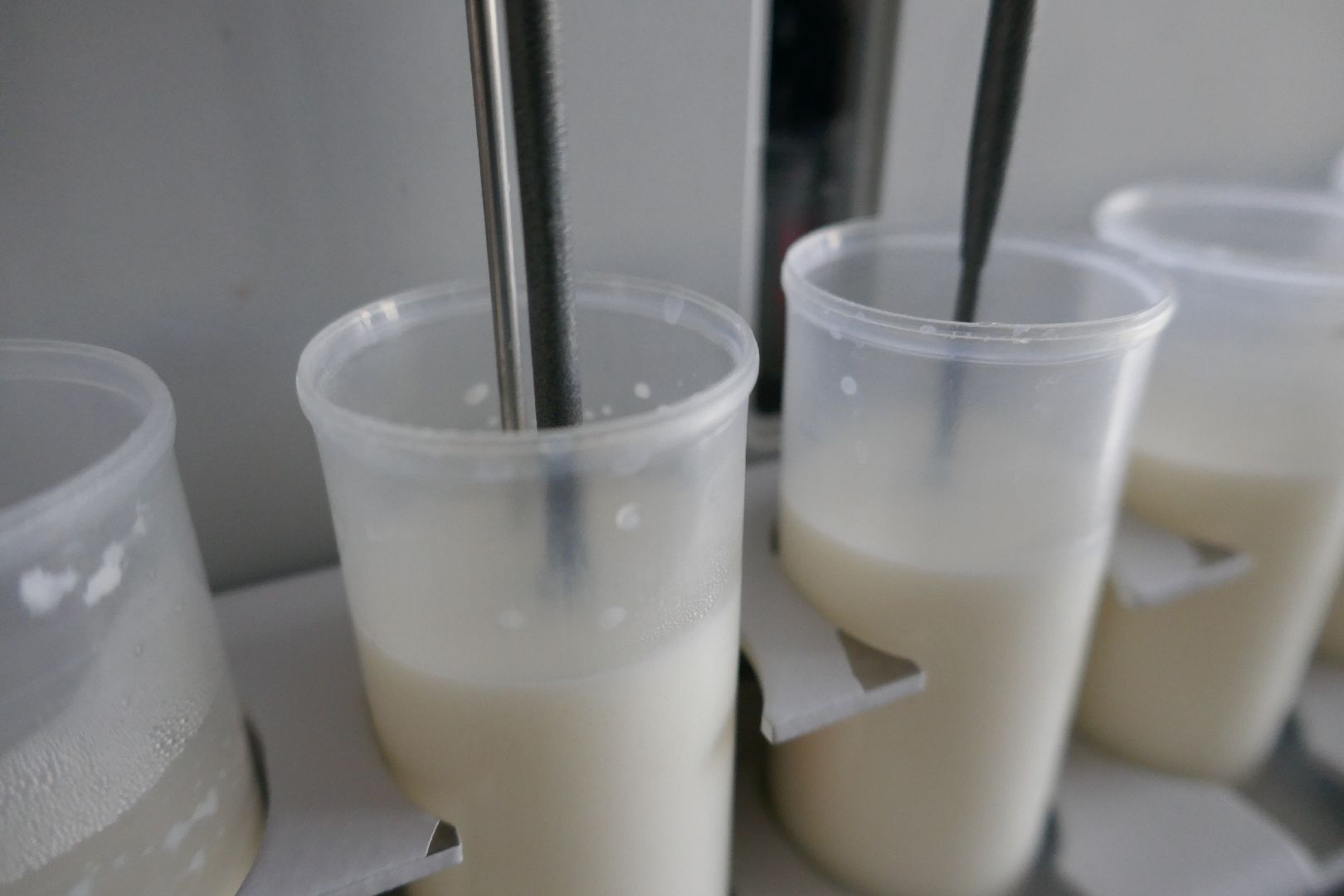 Подольск, молоко, наука, ученые, коровы