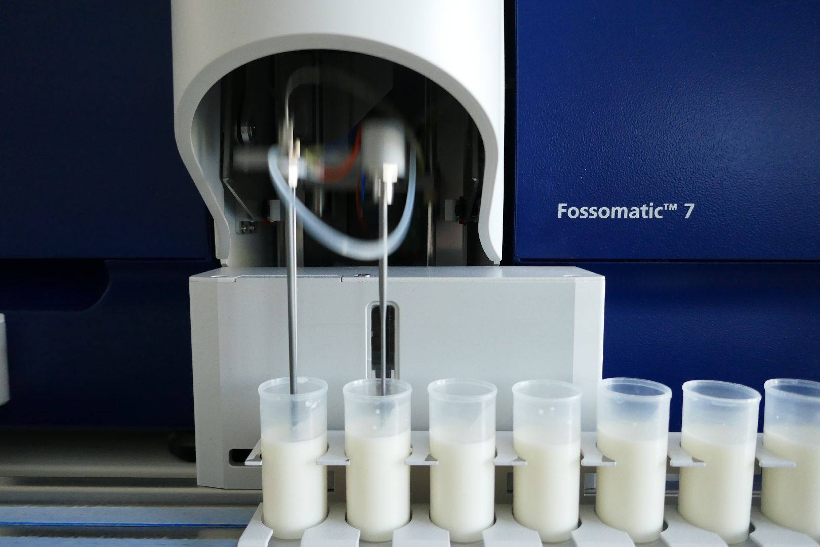 Подольск, молоко, наука, ученые, коровы