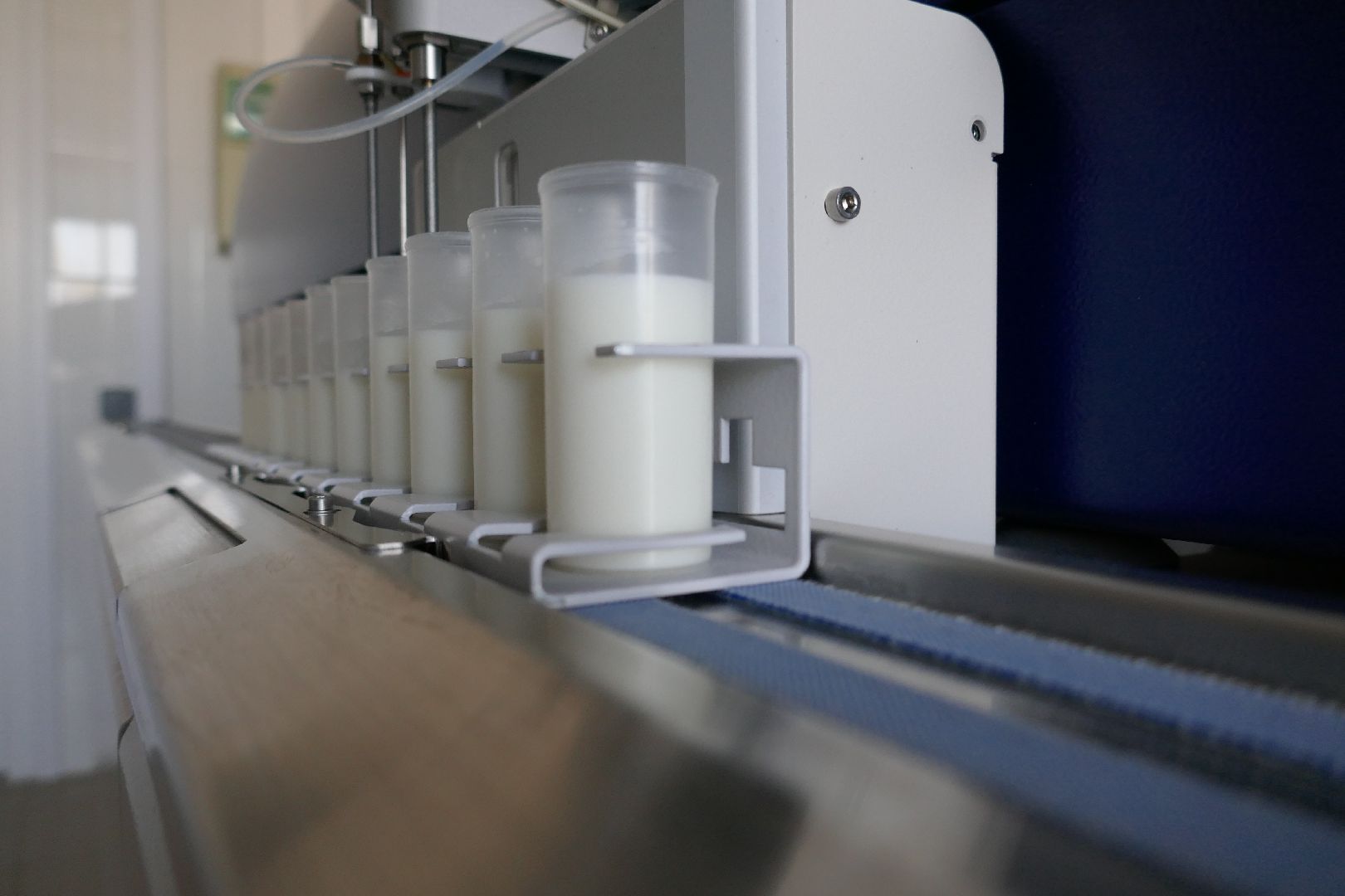 Подольск, молоко, наука, ученые, коровы