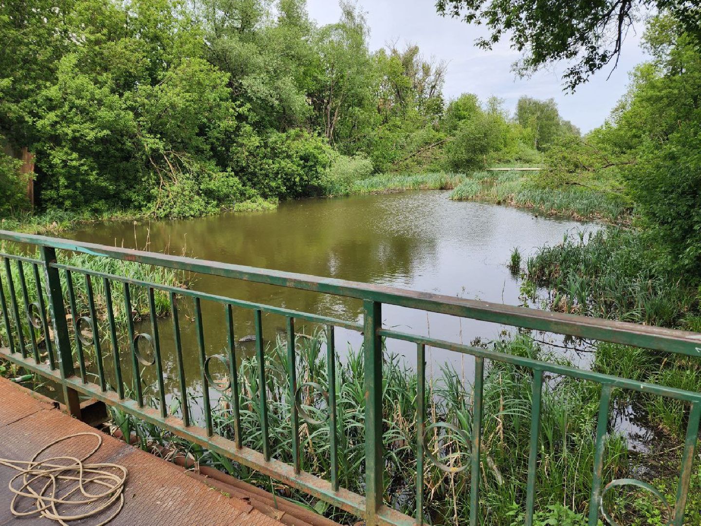 солнечногорск, мост, ремонт, жители , рабочие,