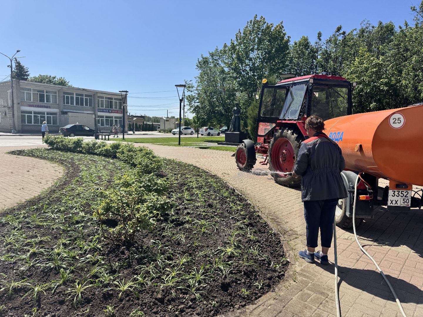 шаховская, посадка цветов, цветы, клумбы,