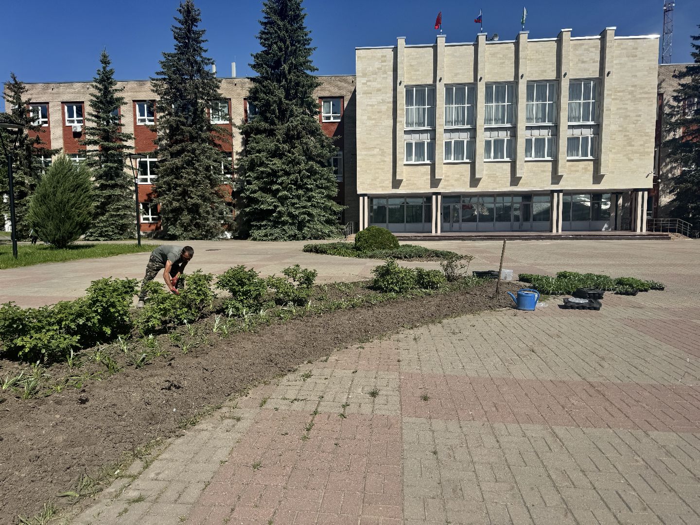 шаховская, посадка цветов, цветы, клумбы,