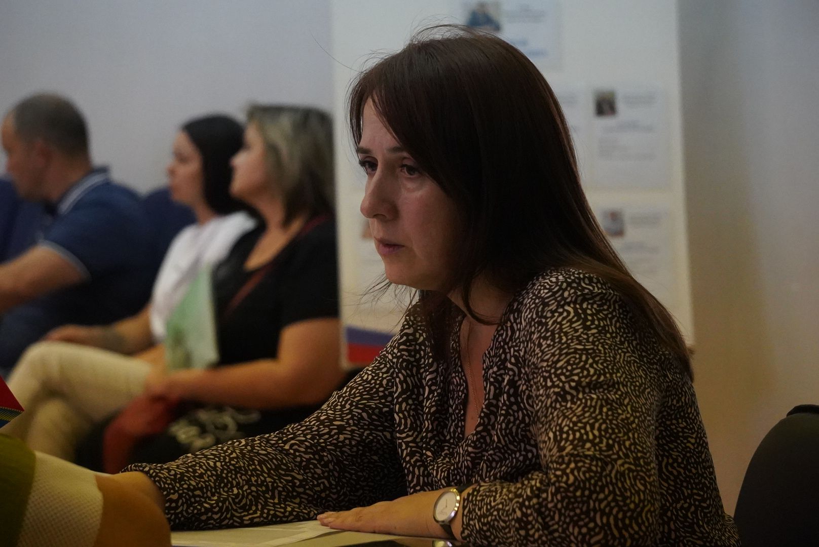 павловский посад, власть , выездная администрация ,