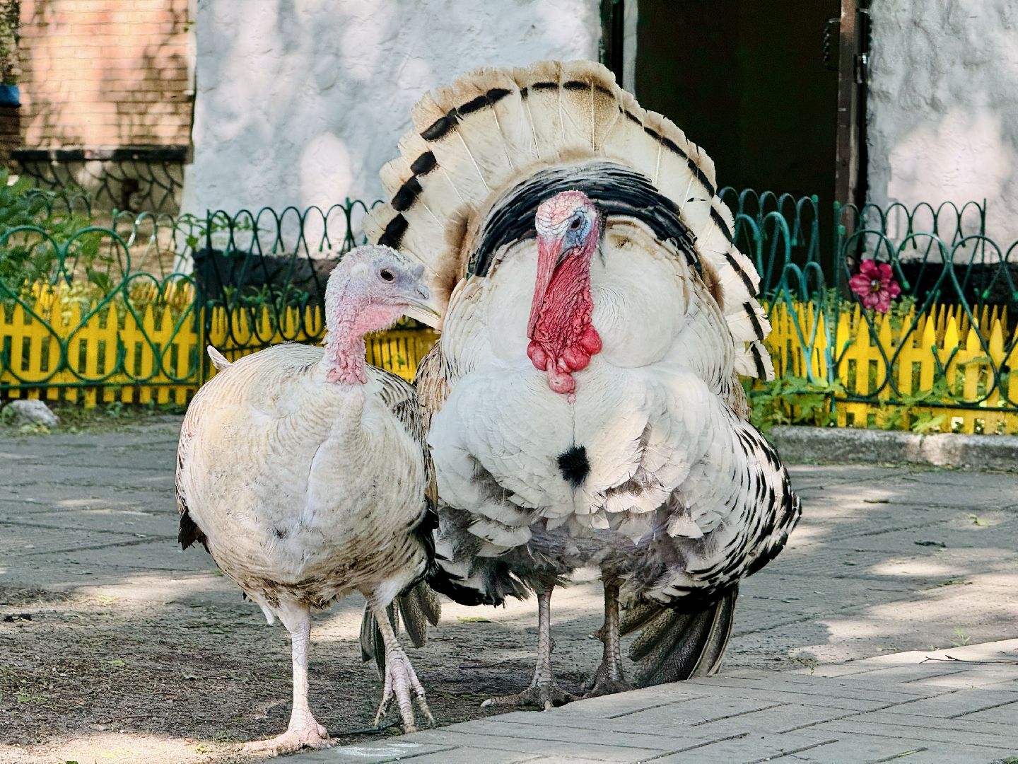 раменское, гжель, зоопарк, туризм,