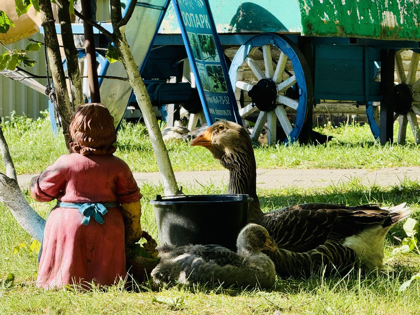 раменское, гжель, зоопарк, туризм,