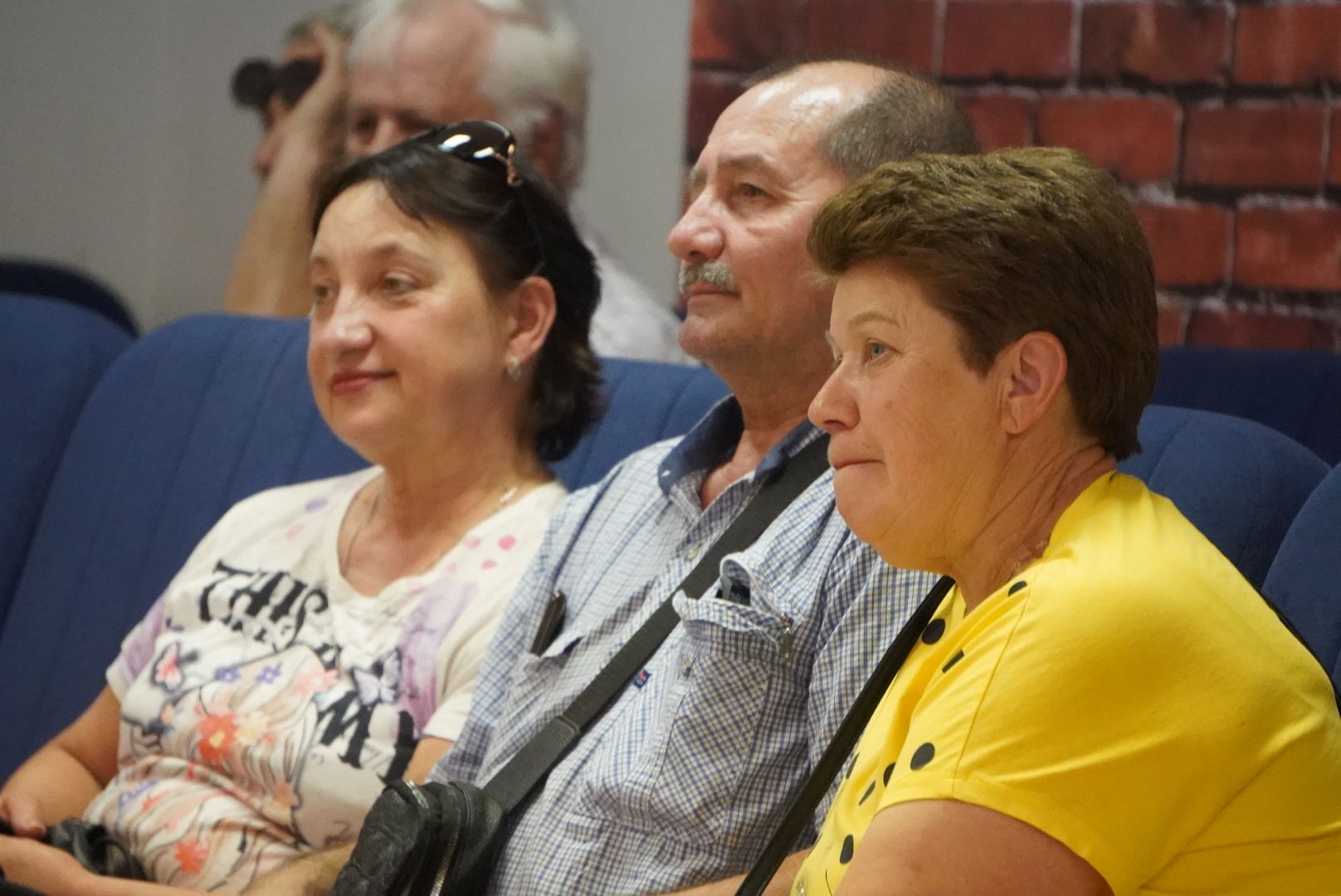 павловский  посад, выездная администрация, власть,