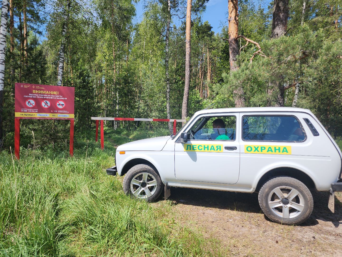 Егорьевск, Подмосковье, Московская область,