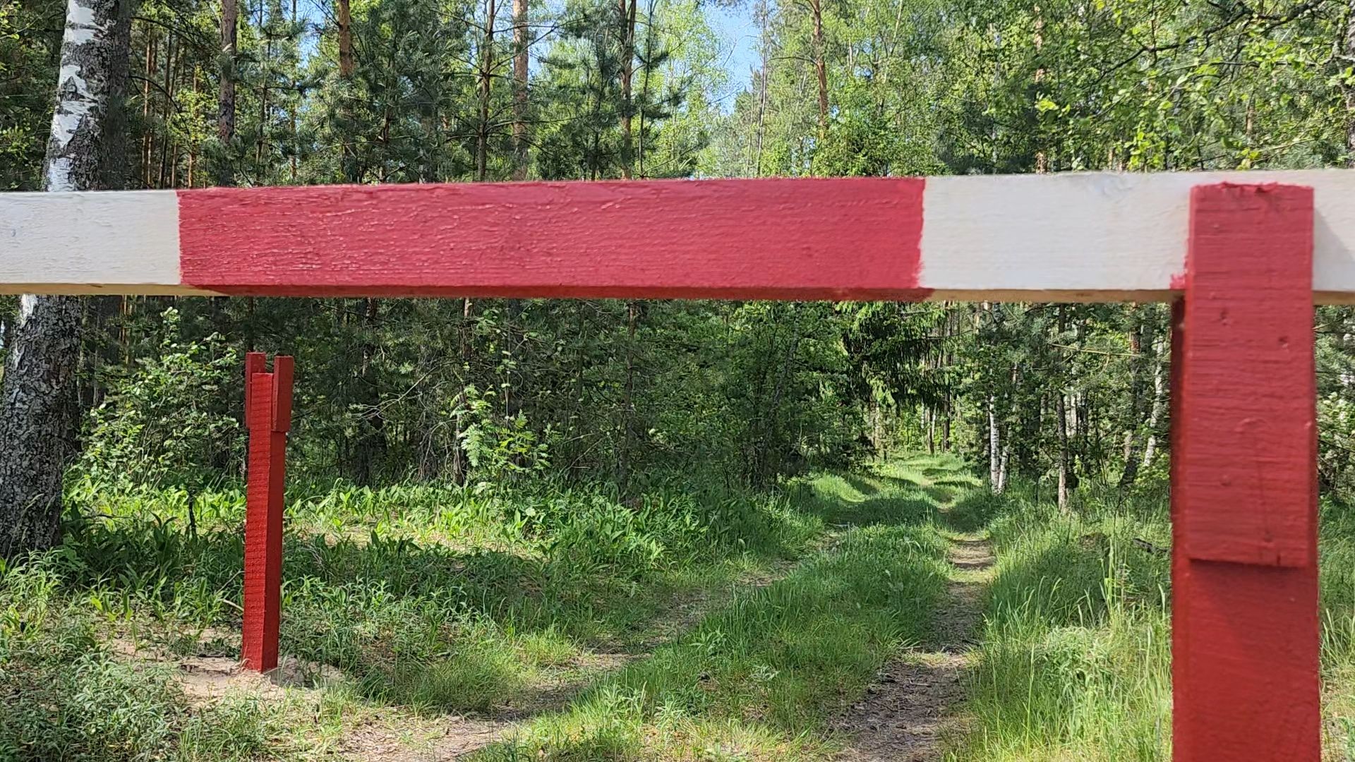 Егорьевск, Подмосковье, Московская область,