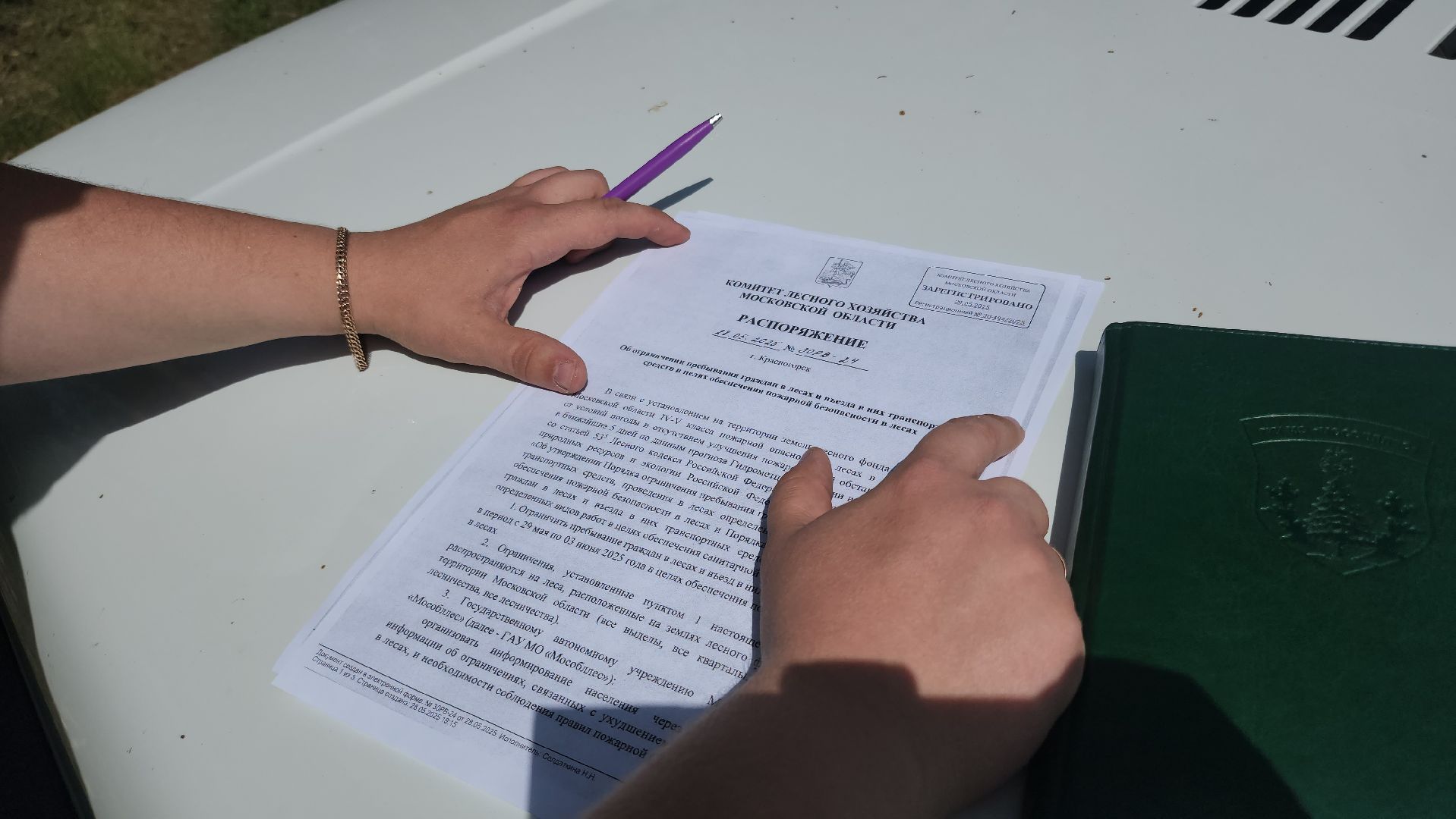 Егорьевск, Подмосковье, Московская область,