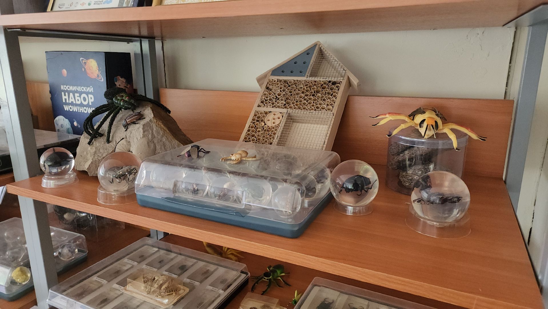 кашира, образование, кружки, секции, запись в секцию, допобразование,