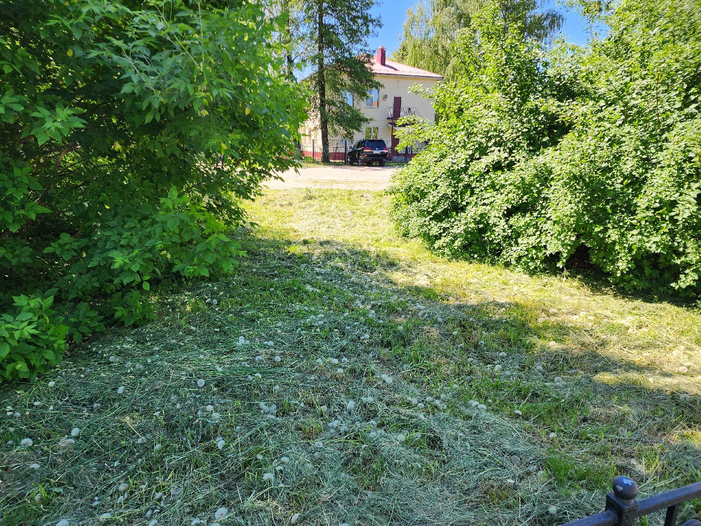 благоустройство, шатурский округ, окос травы,