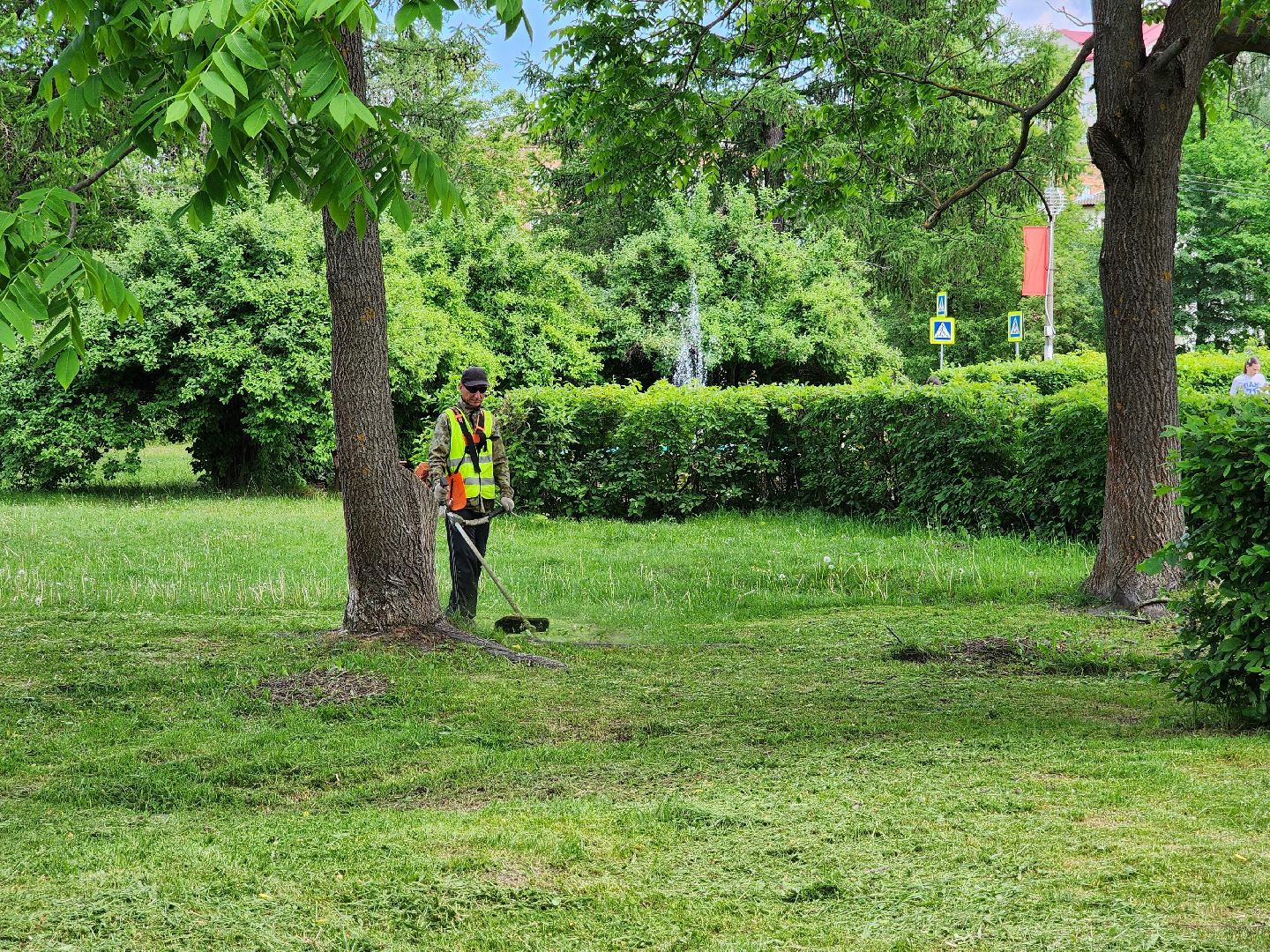 благоустройство, шатурский округ, окос травы,