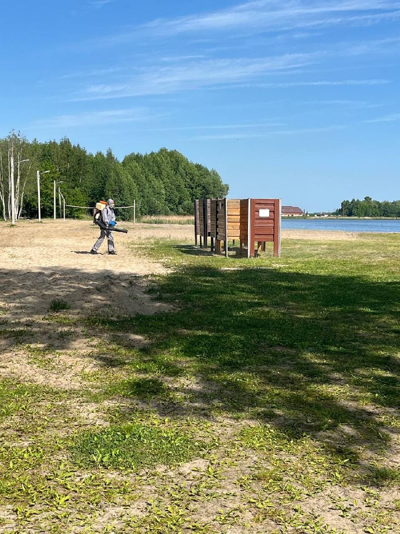благоустройство, шатурский округ, окос травы,