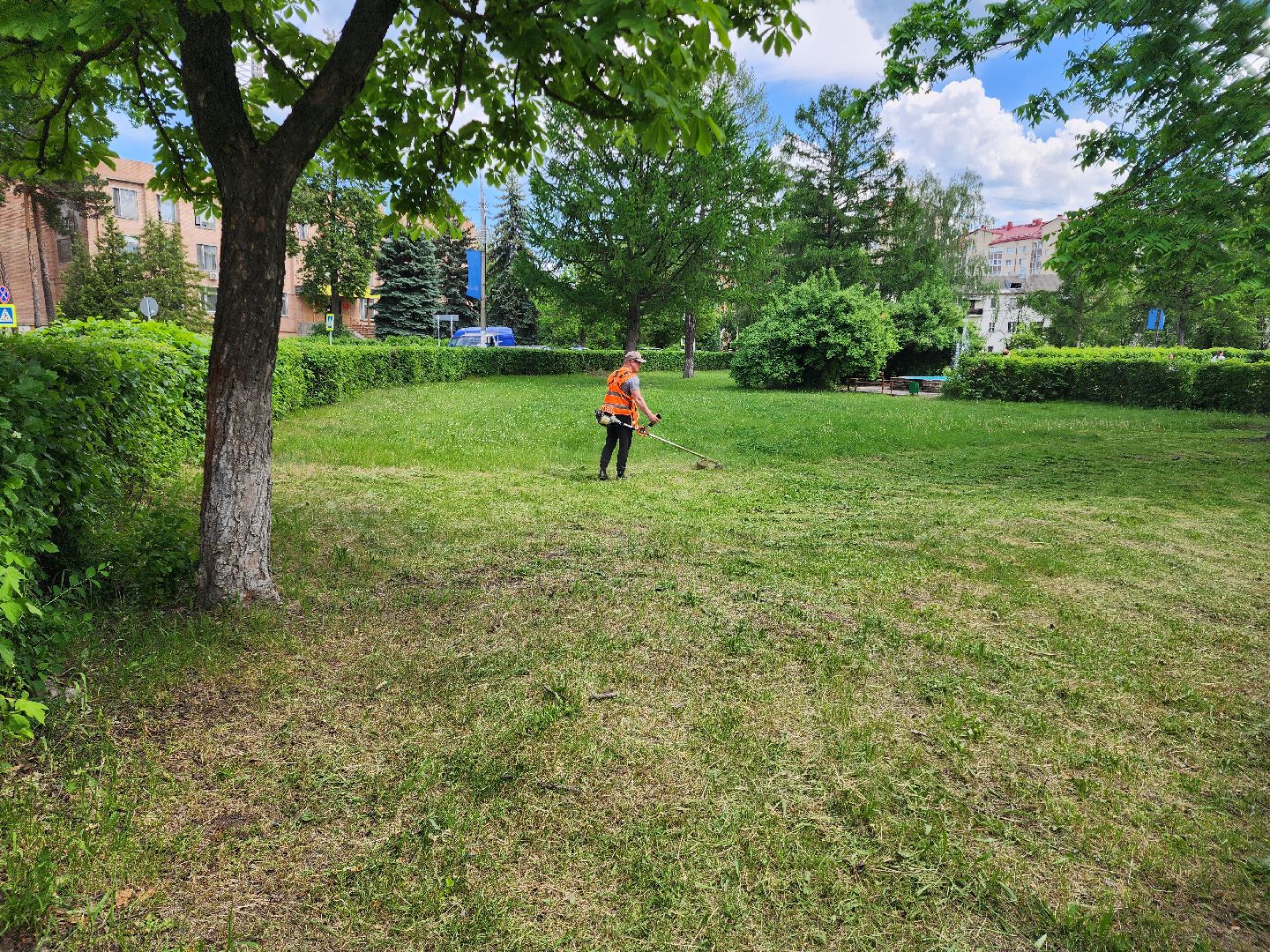 благоустройство, шатурский округ, окос травы,