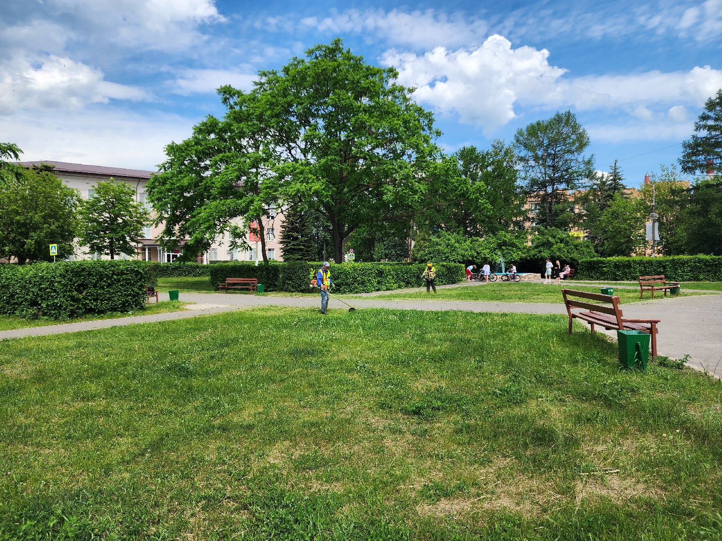 благоустройство, шатурский округ, окос травы,