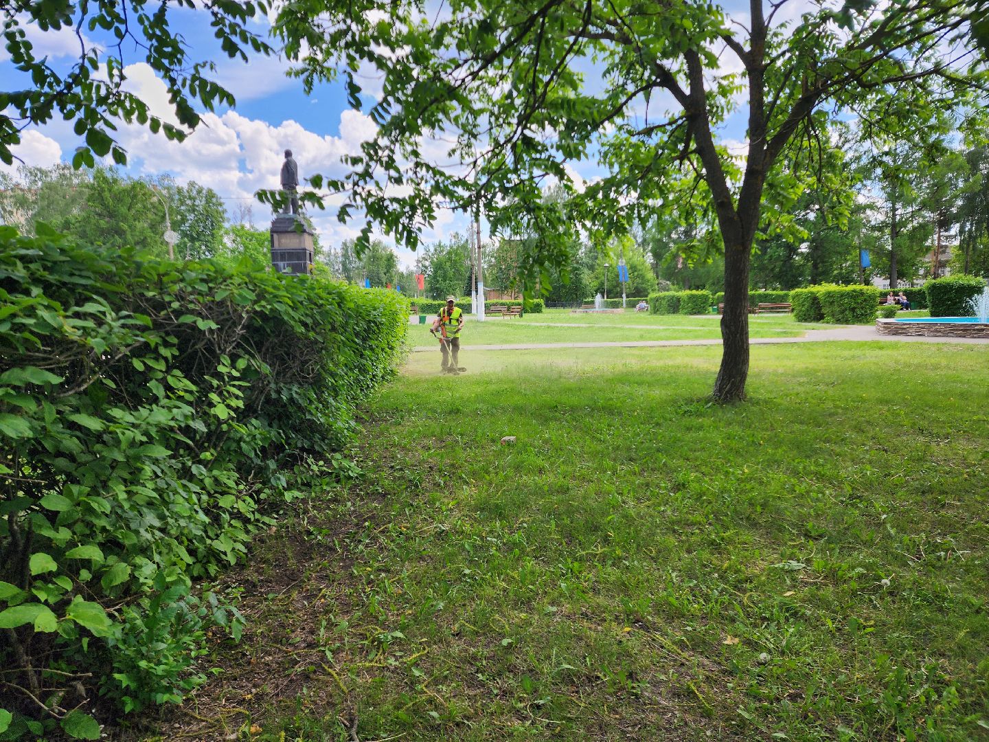 благоустройство, шатурский округ, окос травы,