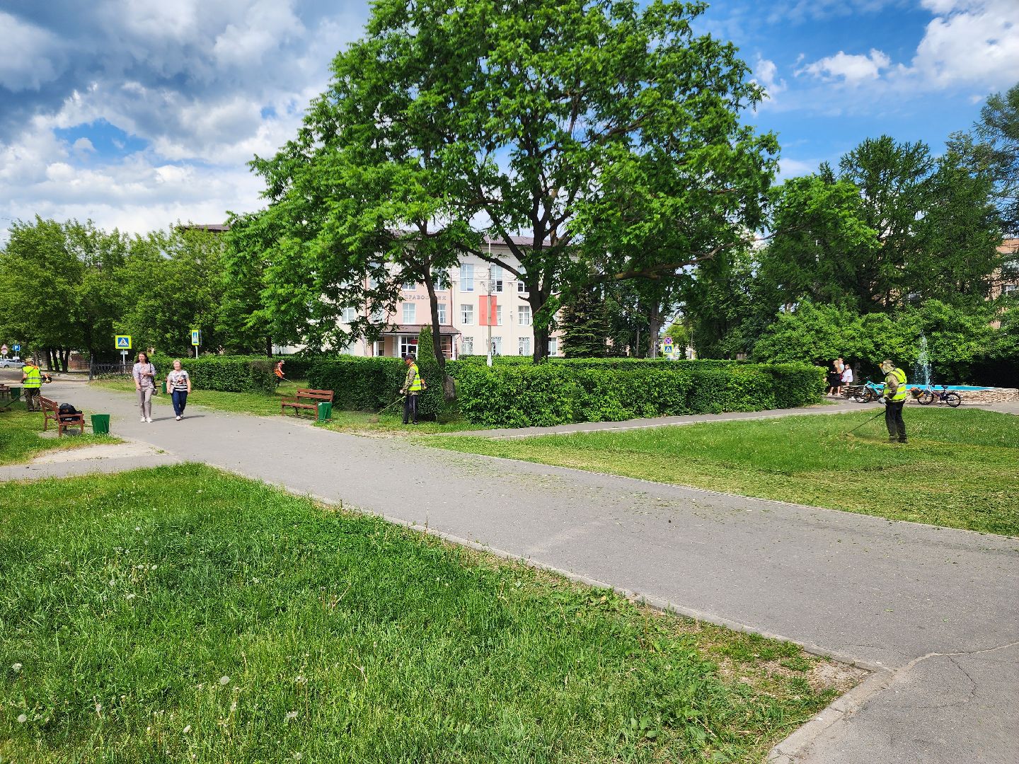 благоустройство, шатурский округ, окос травы,