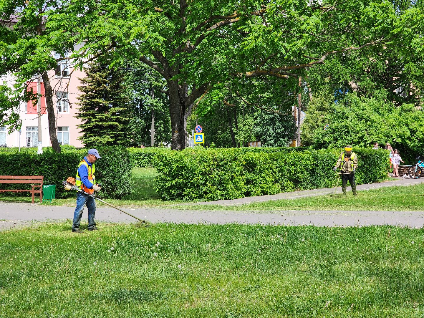 благоустройство, шатурский округ, окос травы,