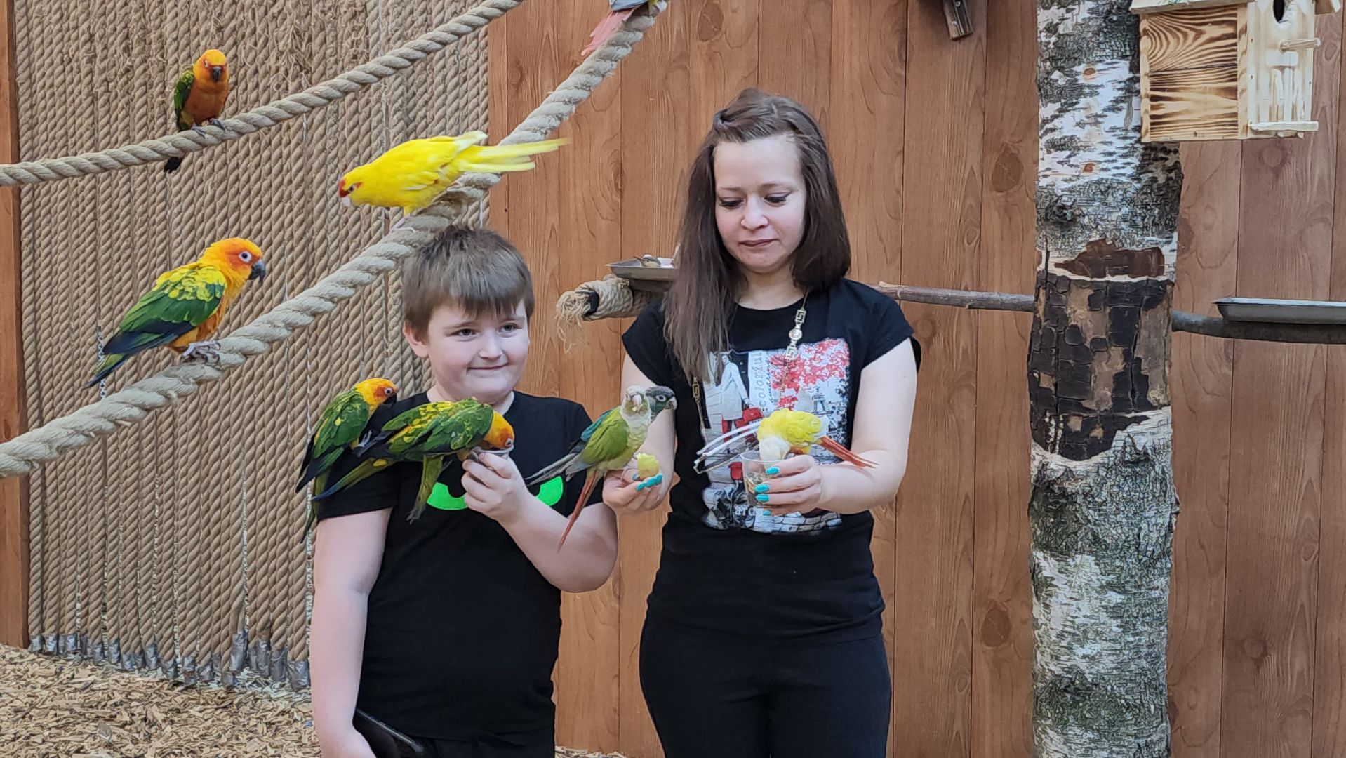 красногорск, контактный зоопарк,