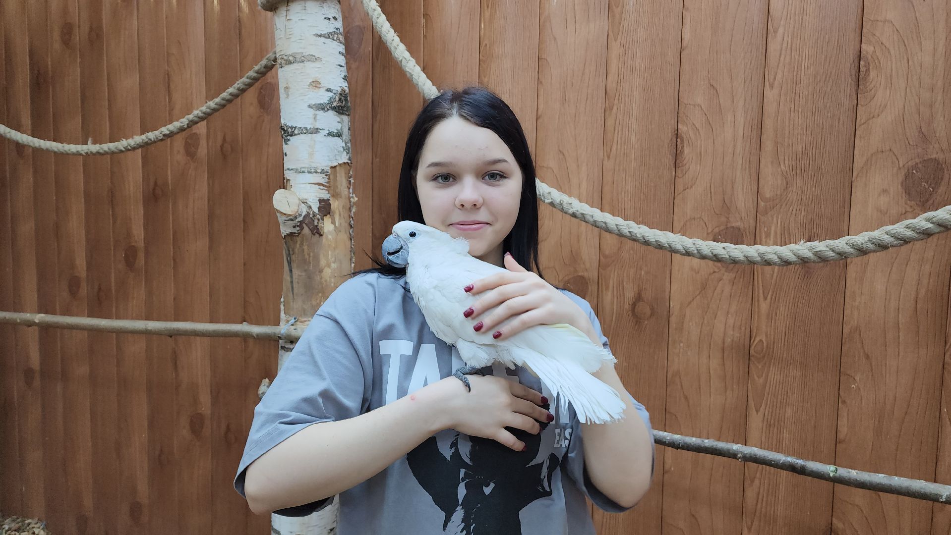 красногорск, контактный зоопарк,