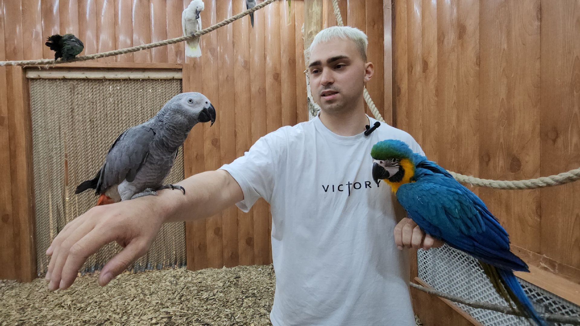 красногорск, контактный зоопарк,