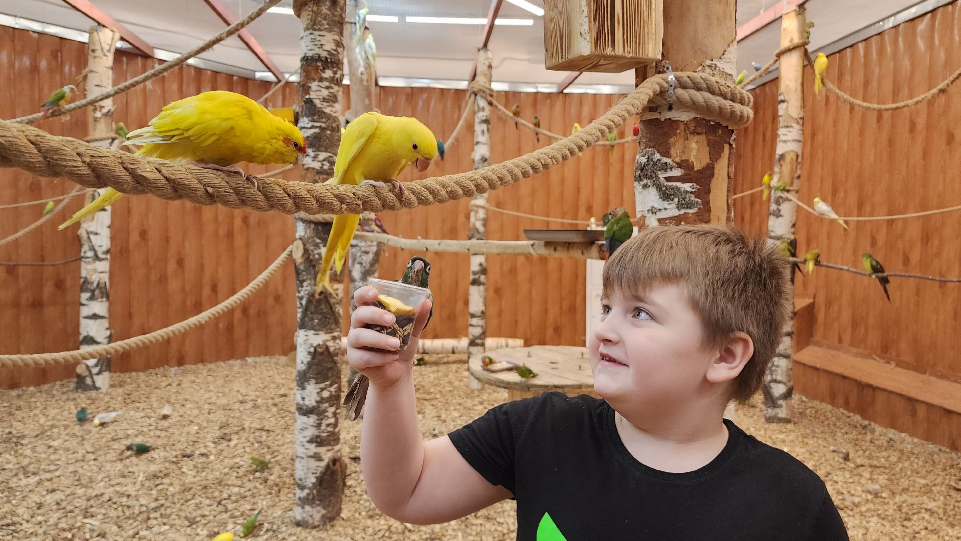 красногорск, контактный зоопарк,