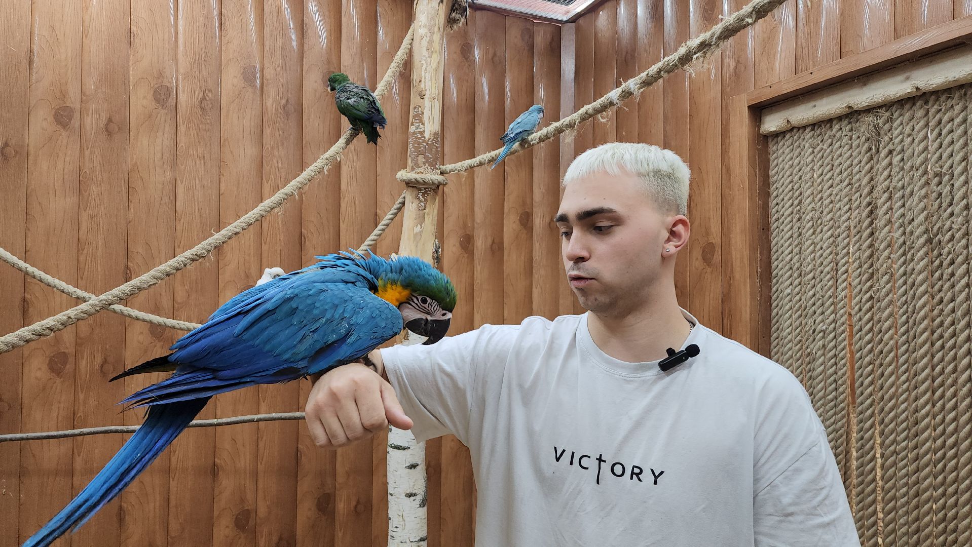 красногорск, контактный зоопарк,