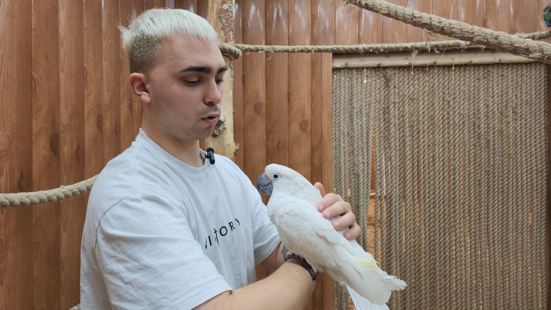 красногорск, контактный зоопарк,